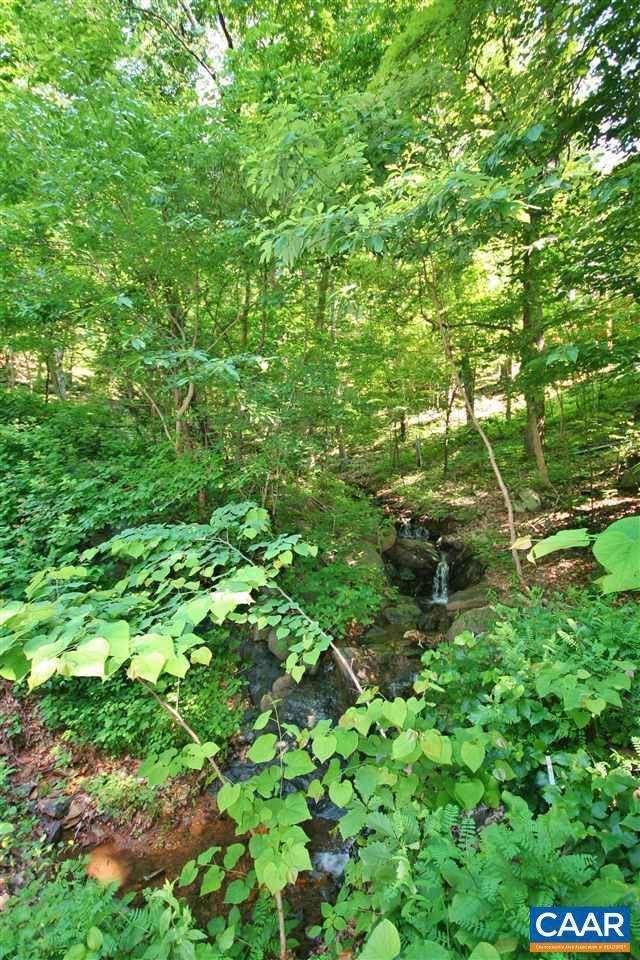226 Hooded Warbler Lane - Photo 1