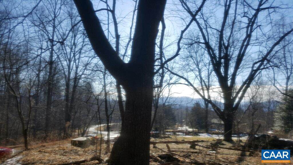 233 Stone Chimneys Rd Road - Photo 1