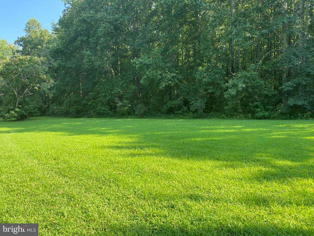 0 Riverview Drive - Photo 1