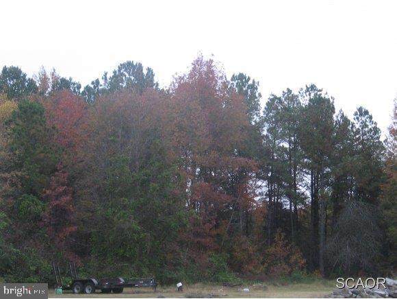 Cemetery Road - Photo 1