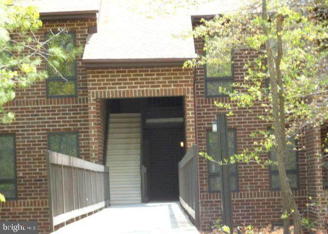 23244 Chestnut Oak Court - Photo 1