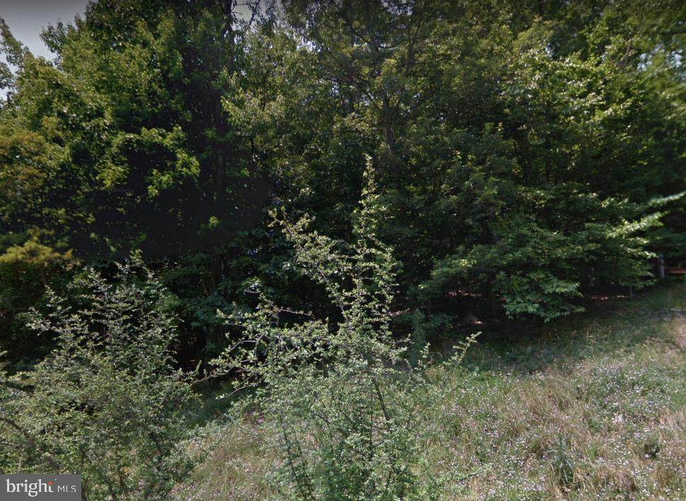 Lot 220 Accipiter Drive - Photo 1