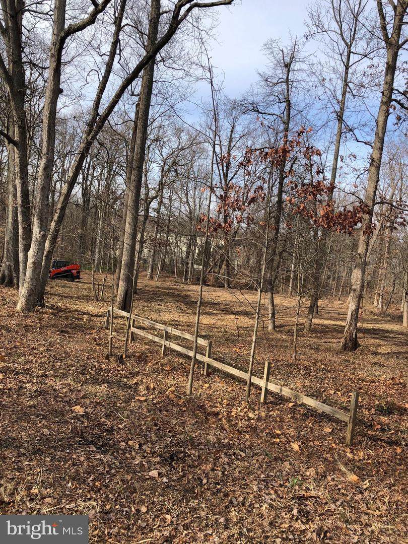 5640 Ox Road - Photo 1