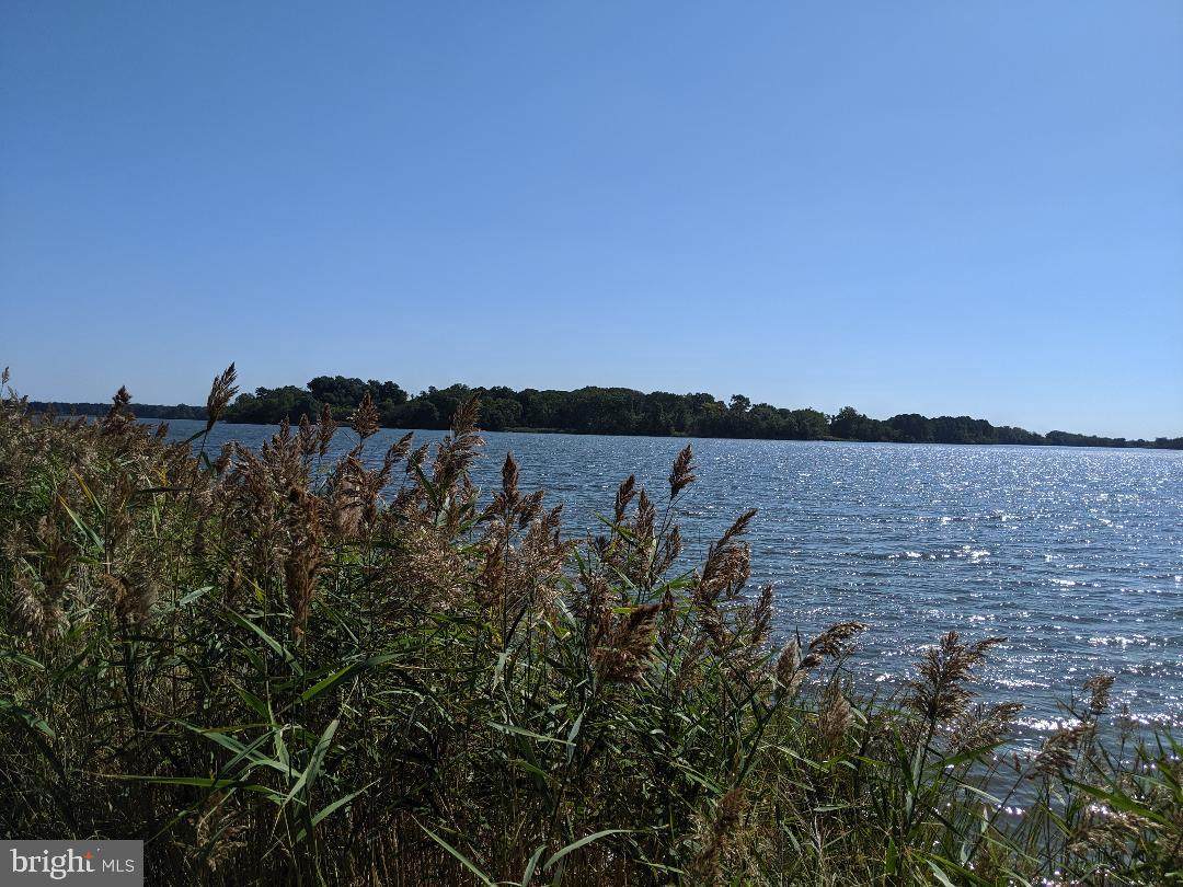 3009 Bennett Point Road - Photo 1