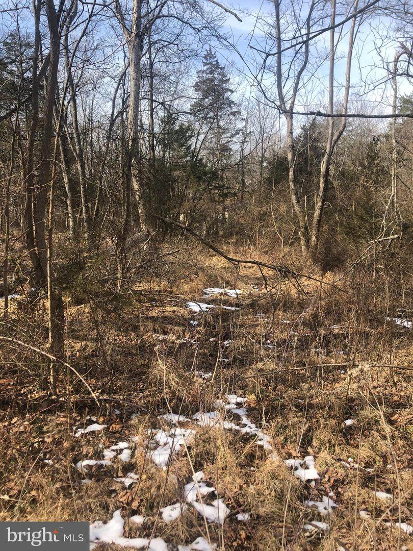 Cedar Lane - Photo 1