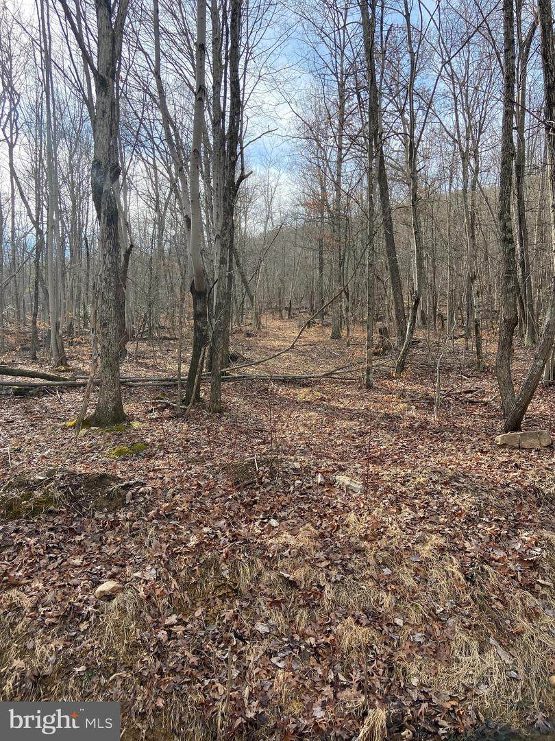 Lot 184 Sunrise Hill - Photo 1