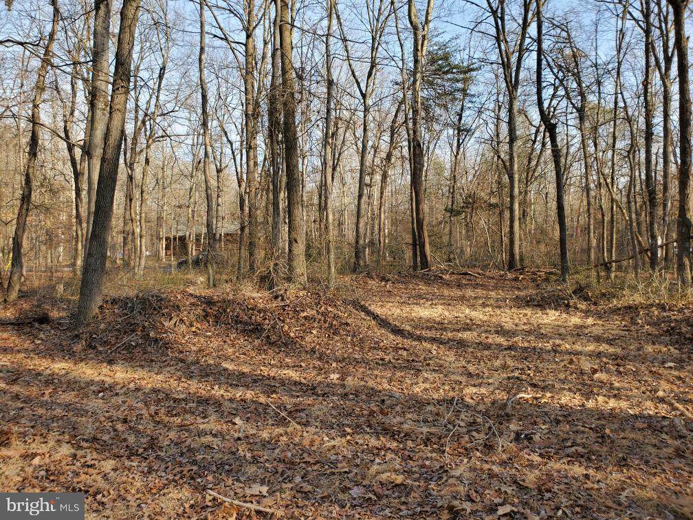 Lot 27 Mountain Laurel Lane - Photo 1