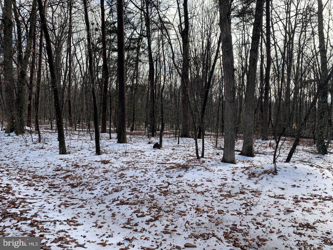 Shirley Road - Photo 1