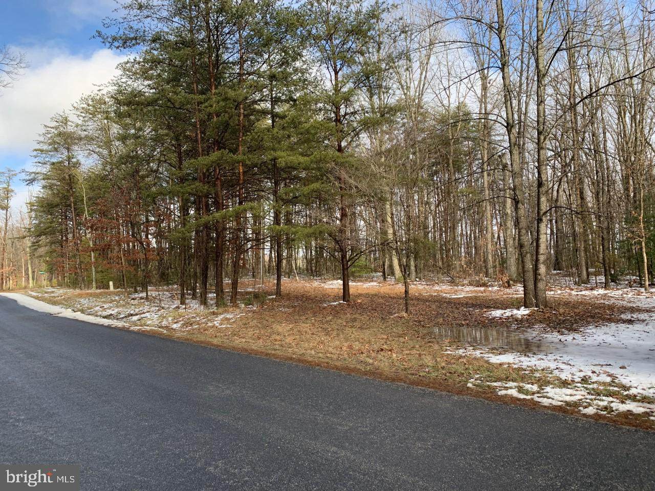 Shirley Road - Photo 1