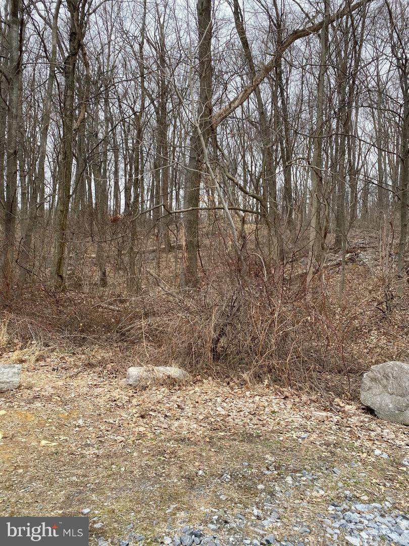 0 Cocalico Road - Photo 1