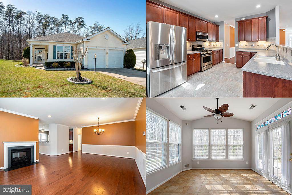 16088 Dancing Leaf Place - Photo 1