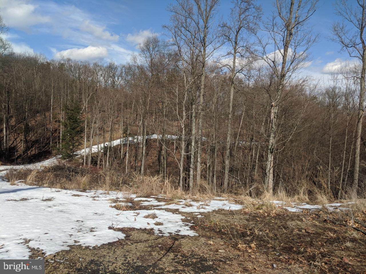 Lot 7 Stoner Drive - Photo 1