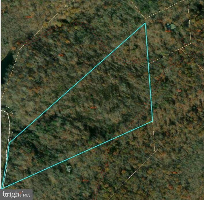 Tapps Ford Rd - Photo 1