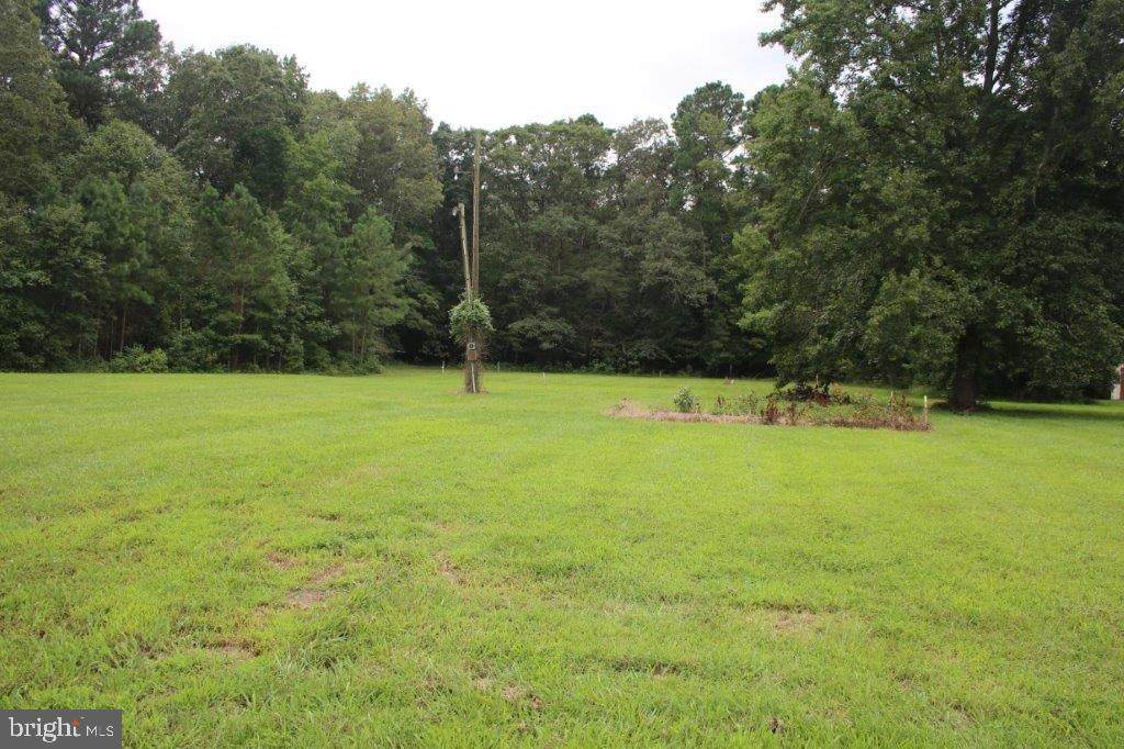 31629 Bruceville Road - Photo 1