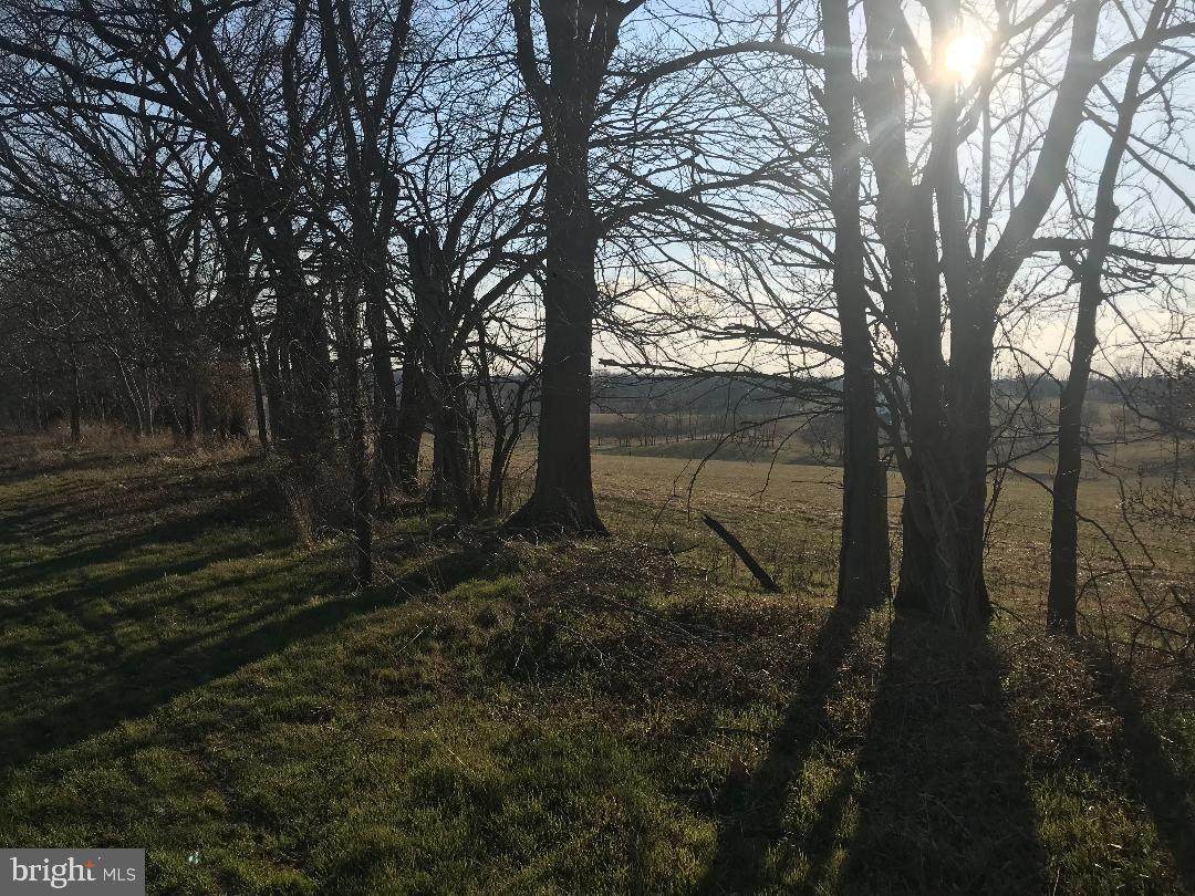 Persimmon Lane - Photo 1