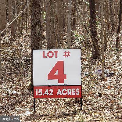 Lot 4 Old Plank Road - Photo 1