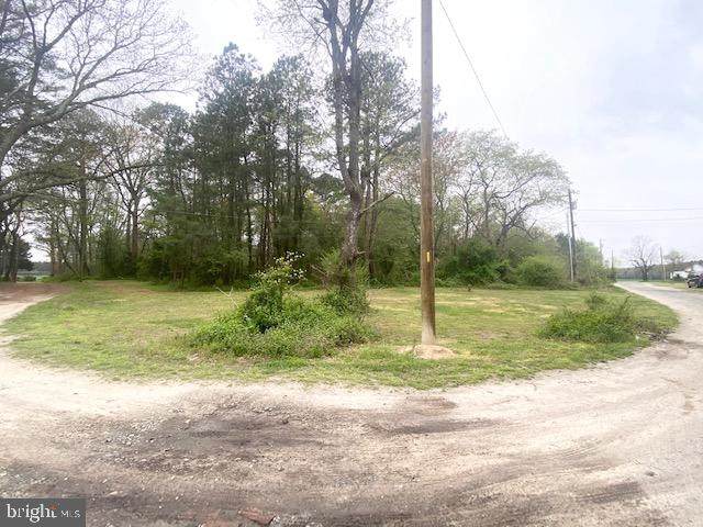 0 Camellia Lane - Photo 1