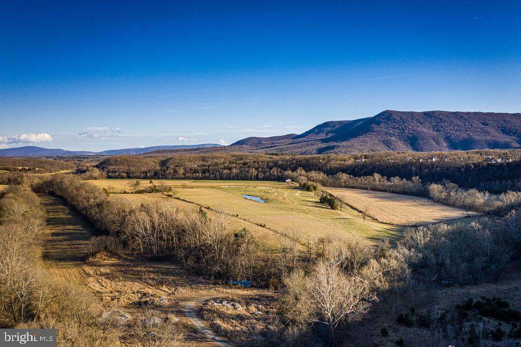 Island Farm Road - Photo 1