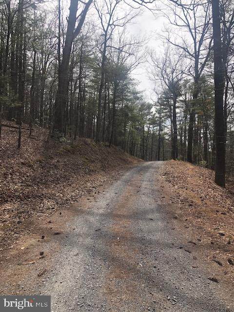 Chestnut Ridge Rd - Photo 1