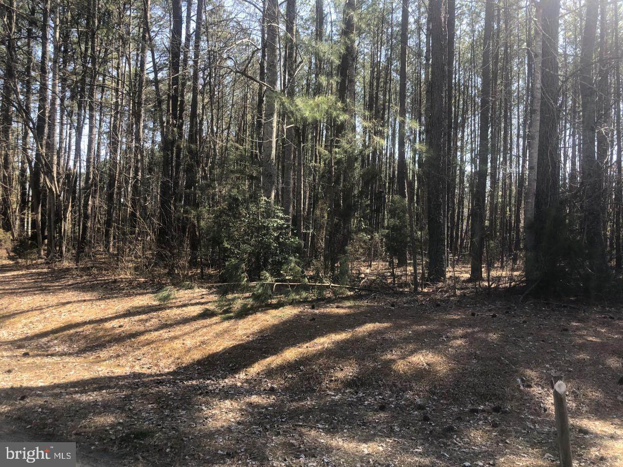 3401 Rockland Creek Road - Photo 1