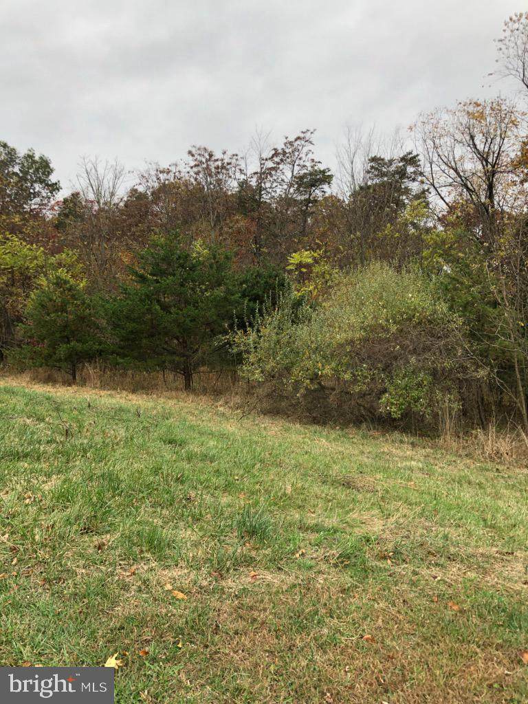 Lot 13 Harry Hiett Ln - Photo 1