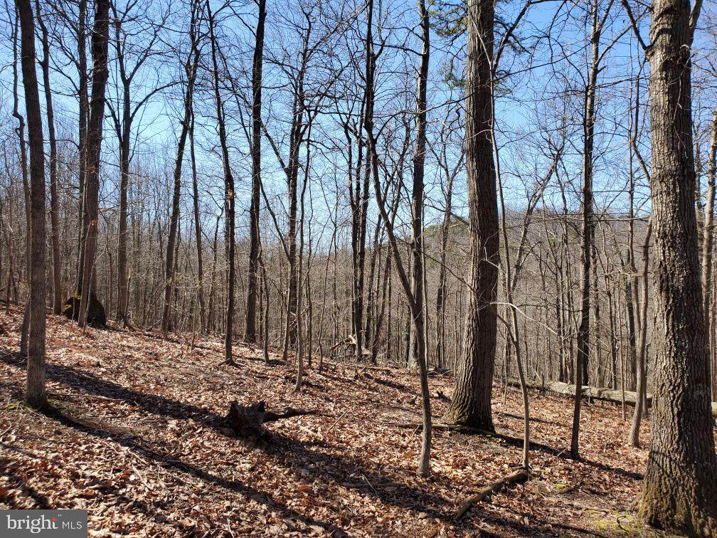 Lot 10B & 10CA Pleasant Hill Lane - Photo 1