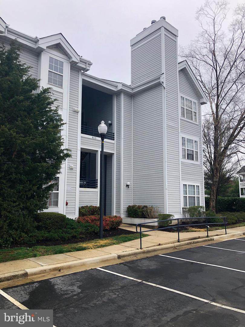 603 Forest Walk Lane - Photo 1