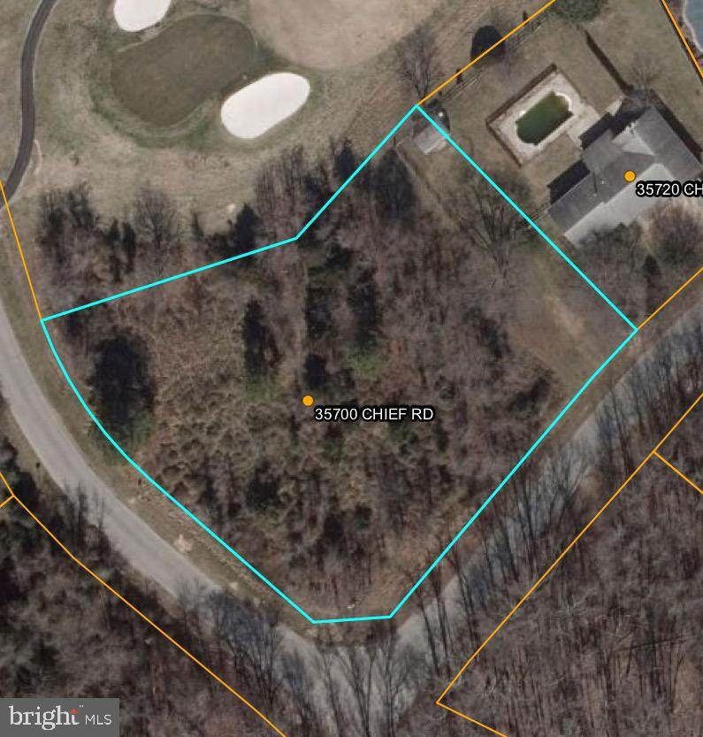 35700 Chief Road - Photo 1