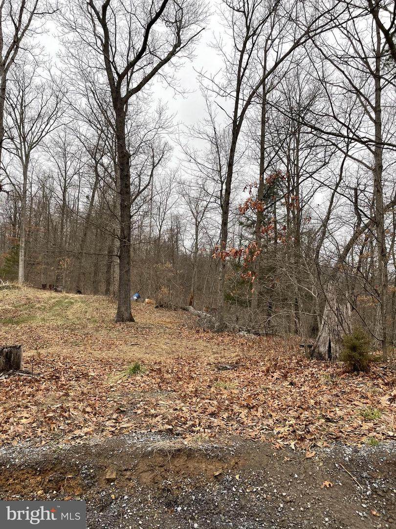 0 Barksdale Lane - Photo 1