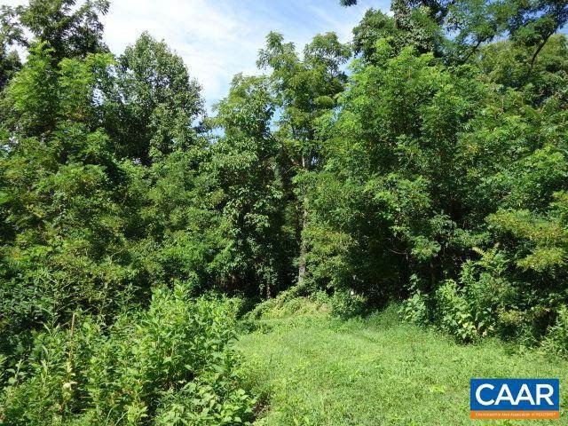 Lot 4 Forks Of Buffalo Drive - Photo 1
