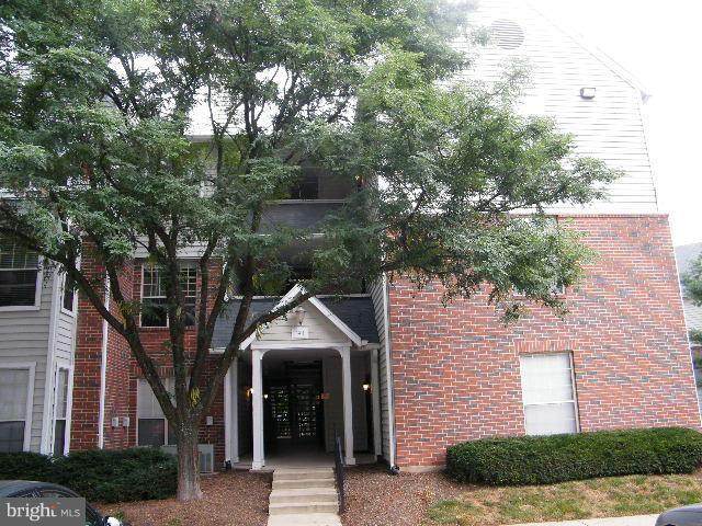 3911 Penderview Drive - Photo 1