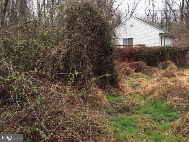 6909 Olson Road - Photo 1