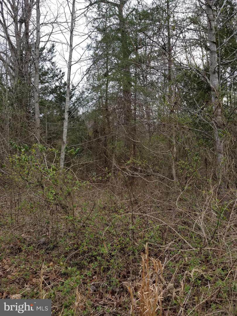 00 Sparta Road - Photo 1