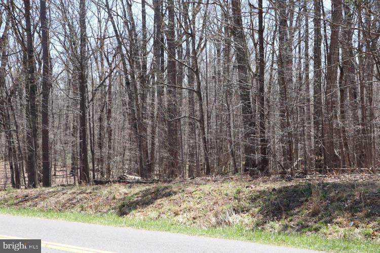 Lot 38B Kendall Road - Photo 1