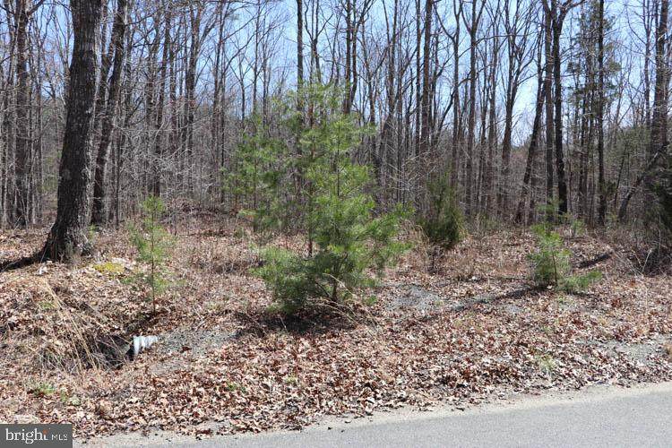 Lot 10 Hope Lane - Photo 1