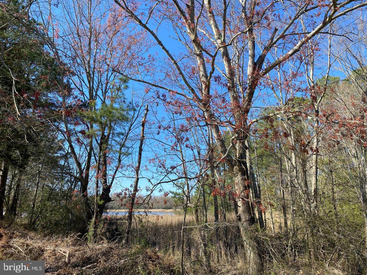 000 Cedar Point Road - Photo 1