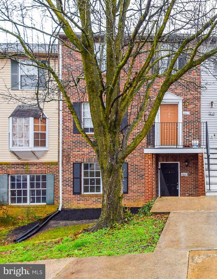 4665 Red Hawk Terrace - Photo 1