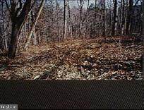 Honeymoon Lane - Photo 1