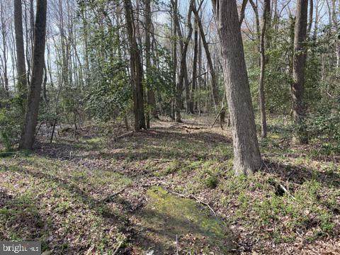 Lot 2 Benson Rd - Photo 1