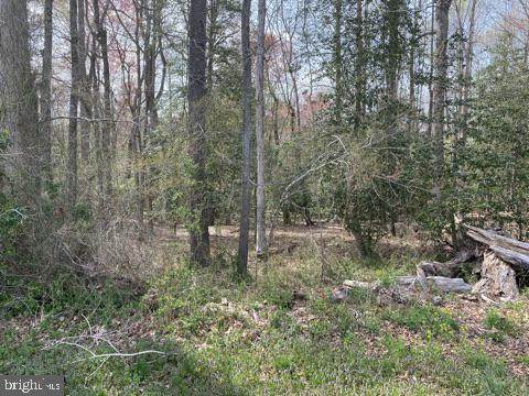 Lot 19 Benson Rd - Photo 1