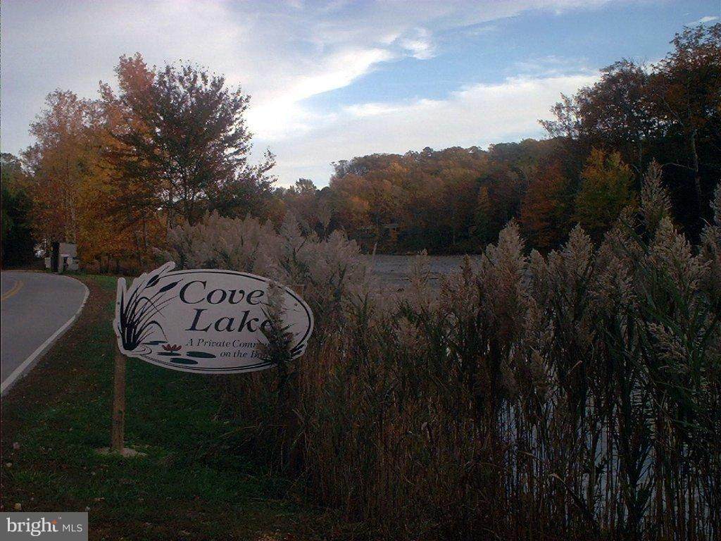 11230 Cove Lake Road - Photo 1
