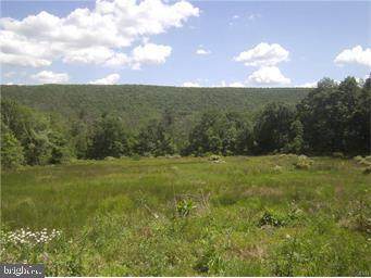 3 Lots Center Ave - Photo 1