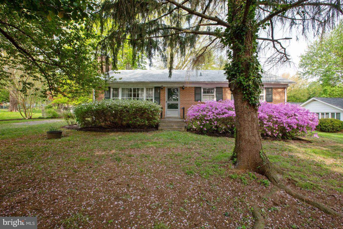 7 Early Avenue - Photo 1