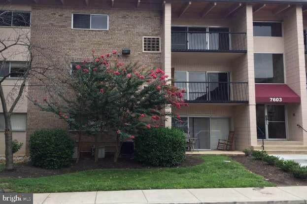 7605 Fontainebleau Drive - Photo 1
