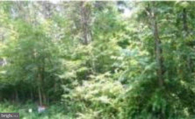 135 Codjus Drive - Photo 1