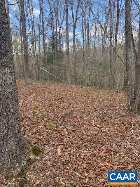 Shenandoah Crossing Drive - Photo 1