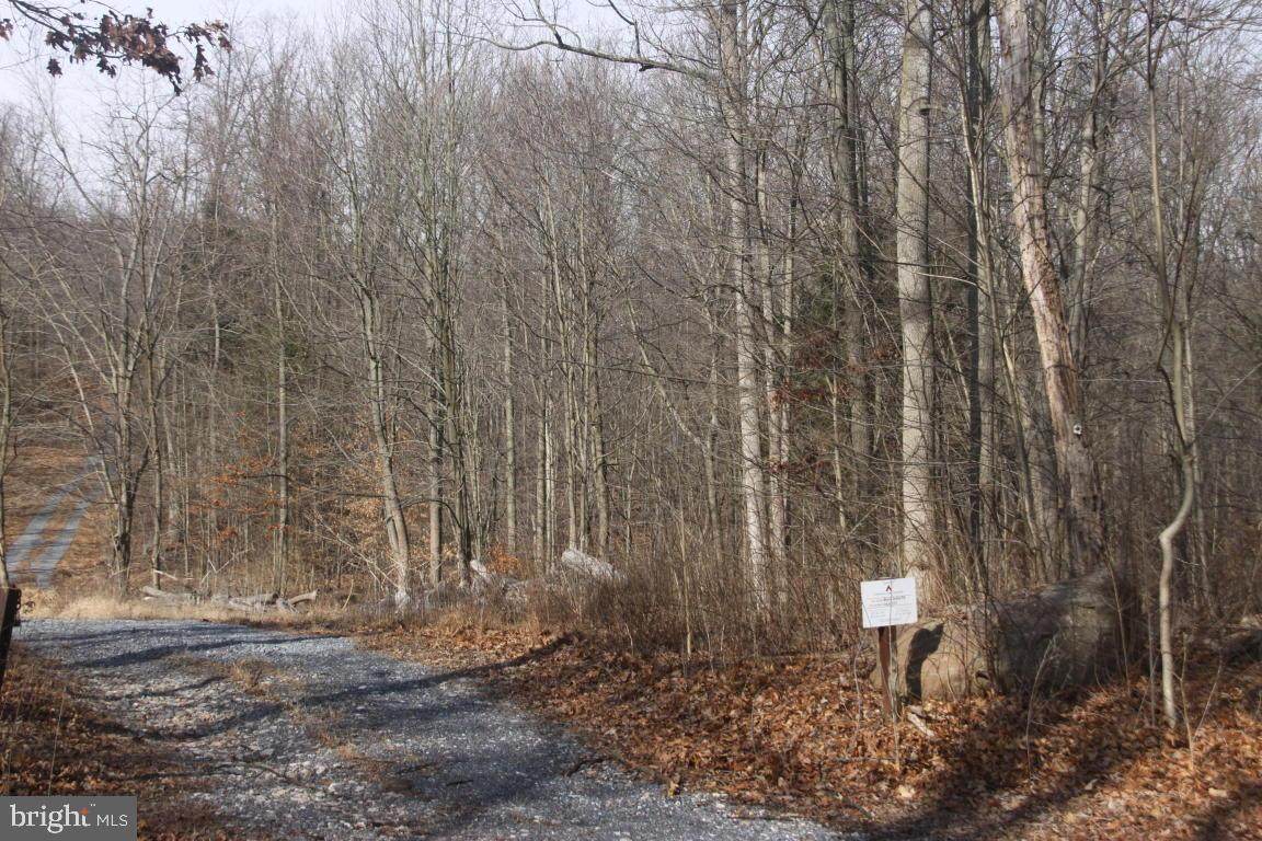 Lot 2 Mine Road - Photo 1
