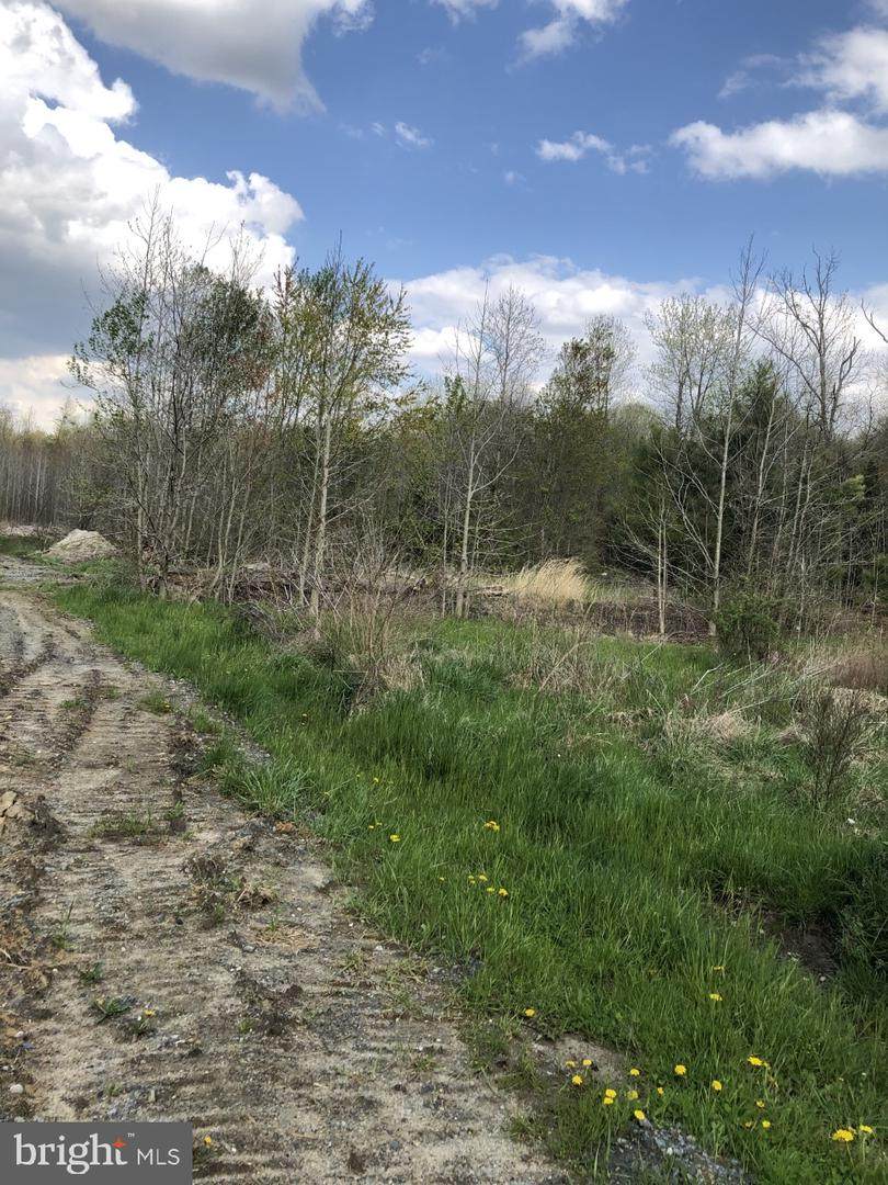 2.4 AC Proctors Purchase Road - Photo 1