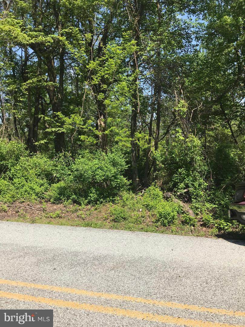 115 Sour Mash Trail - Photo 1
