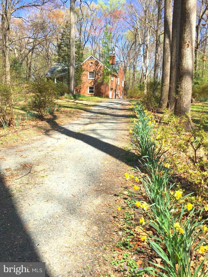 10410 Patrician Woods Court - Photo 1